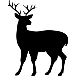 DeerFlow logo