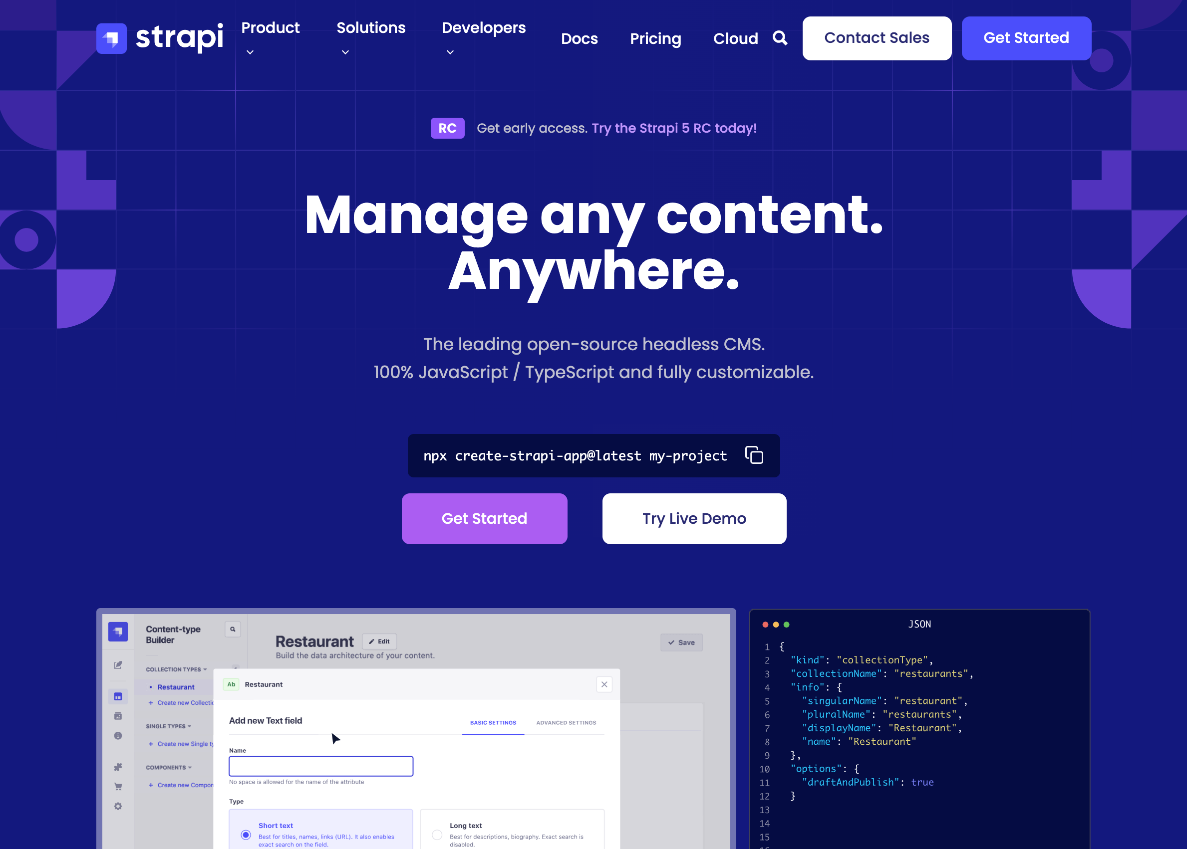Strapi screenshot